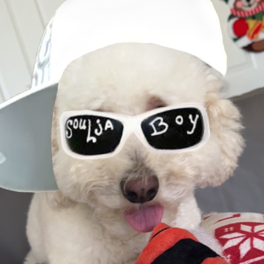 Meet your Posher, Rei